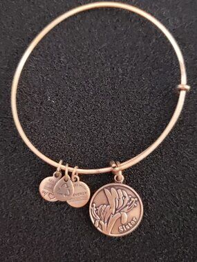 Alex and Ani Sister Copper / Gold Charm Bracelet Bangle 40